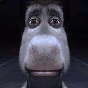 Meet your Posher, Debra